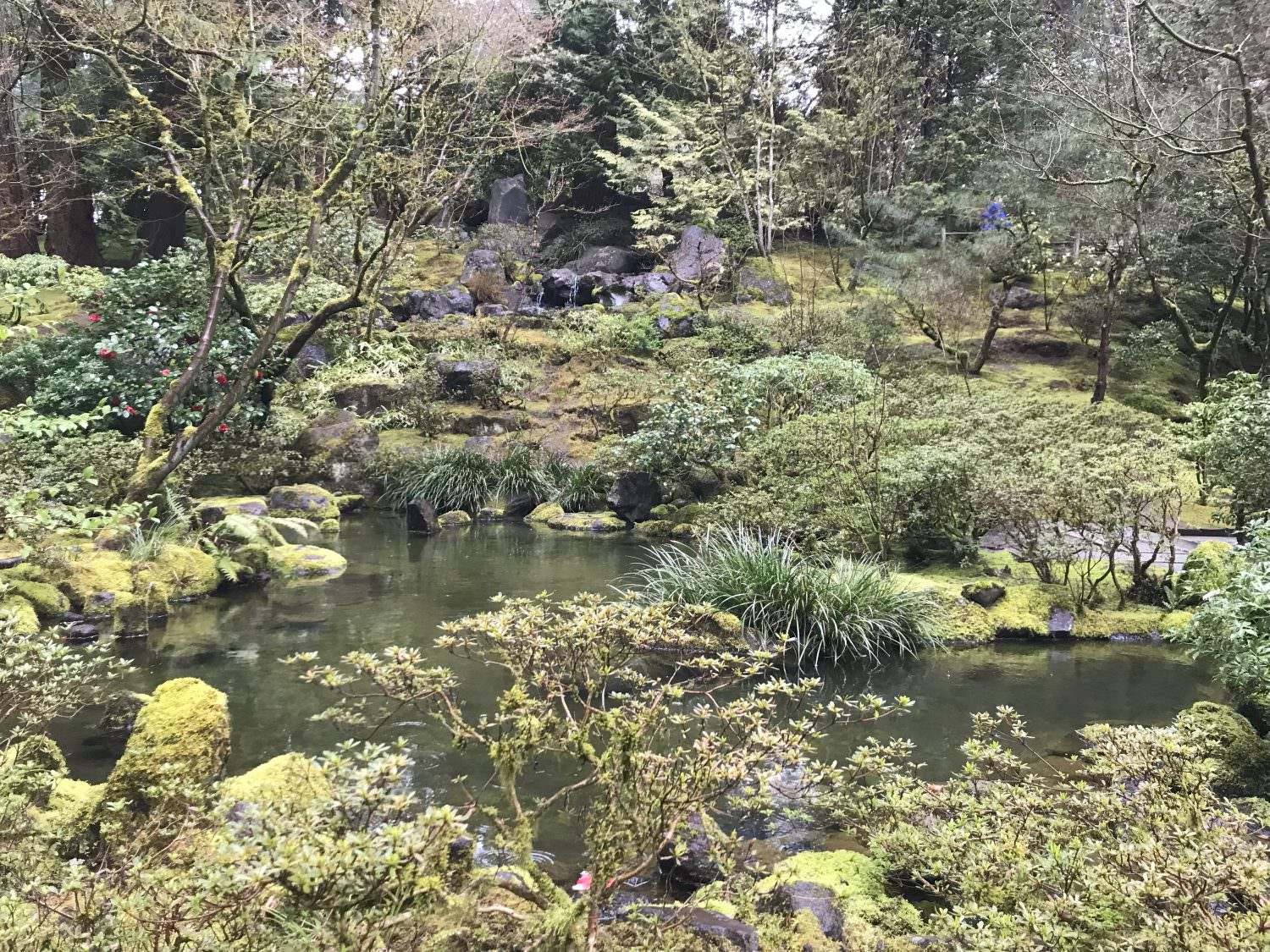 A pond and lush greenery around it, along with trees