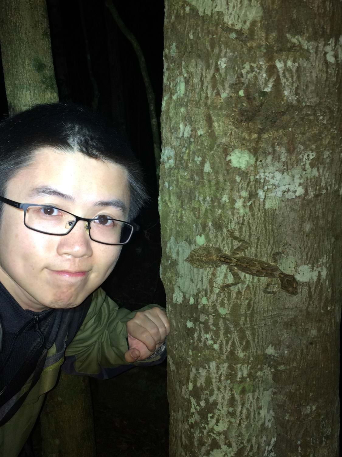 AFS graduate assistant Chunfen Zhou posing next to a leaf-tailed gecko on a tree at night in Australia.