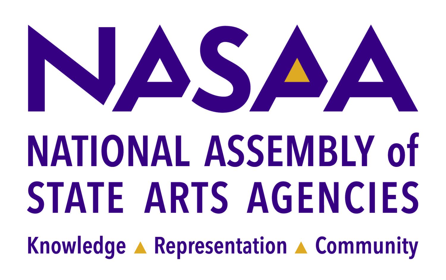 nassa logo
