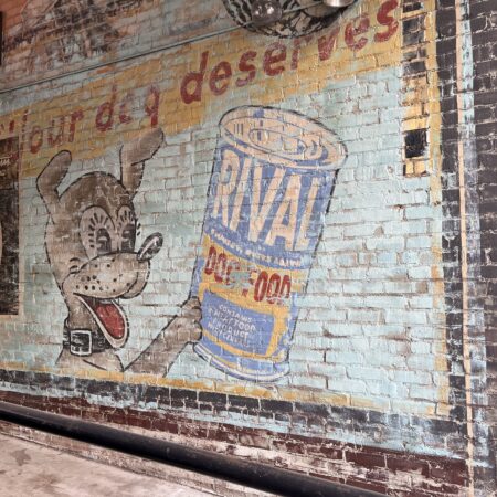 Public wall advertisement for Rival dog food, which shows a cartoon dog with it's mouth open and an excited look as it paws at the can of Rival dog food. The ad states, "your dog deserves Rival dog food."