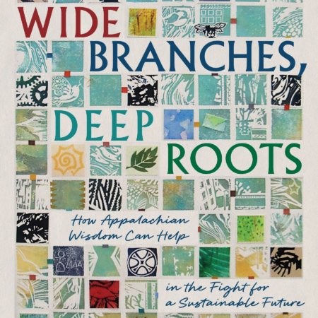 front cover of "wide branches, deep roots," which has a quilt pattern with various images and graphics